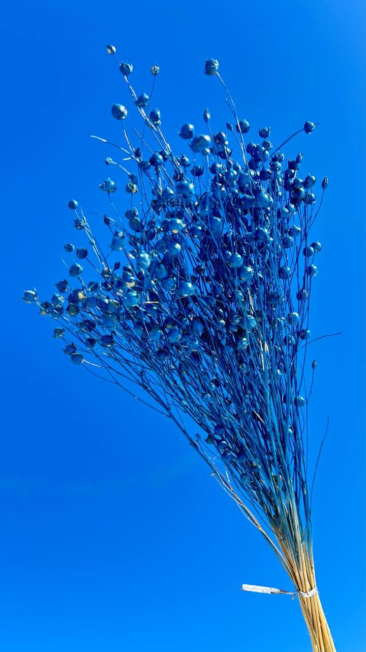 Льон